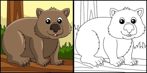 Wombat Animal para colorear página ilustración — Vector de stock