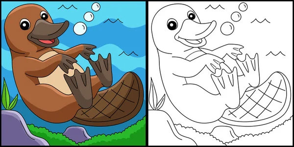 Platypus Dieren Kleurplaten Gekleurde Illustratie — Stockvector