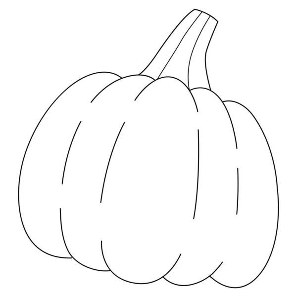 Thanksgiving Pumpkin Isolated Coloring Page — ストックベクタ