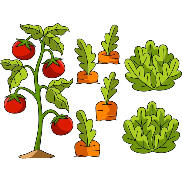 Warzywa Pole kreskówki kolorowe Clipart — Wektor stockowy