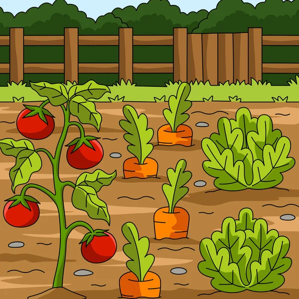 Vegetables Field Colored Cartoon Illustration — 스톡 벡터