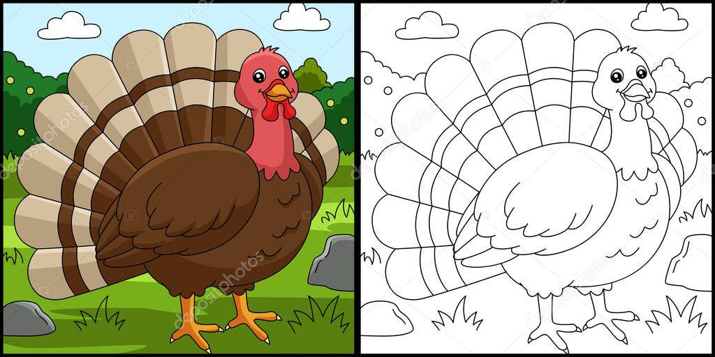 Turkey Coloring Page Colored Illustration