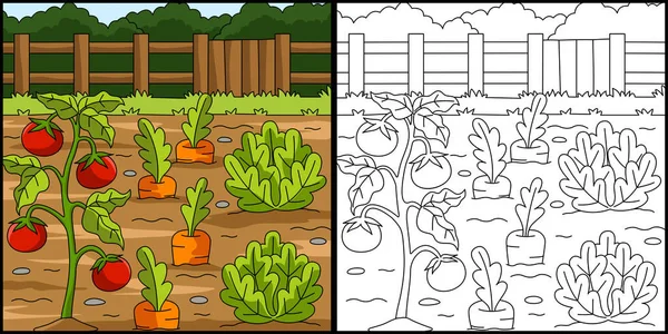 Vegetable Field Coloring Page Illustration — стоковый вектор