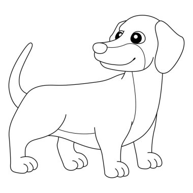 Dachshund Köpek Boyama Sayfası Çocuklar İçin İzole Edildi