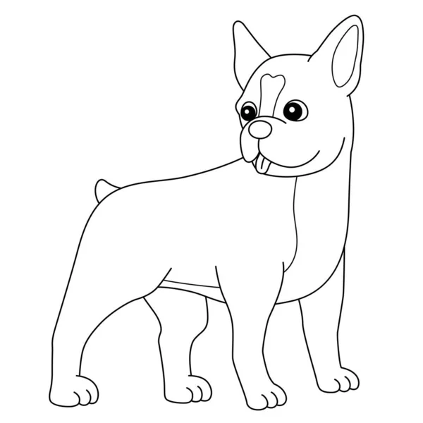 Boston Terrier Dog Coloring Page Isolated for Kids — Διανυσματικό Αρχείο
