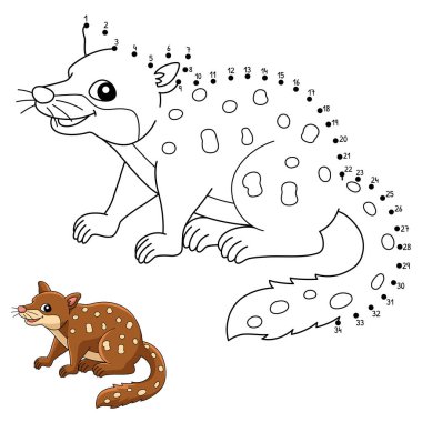  Dot to Dot Tiger Quoll Hayvan Boyama Sayfası 