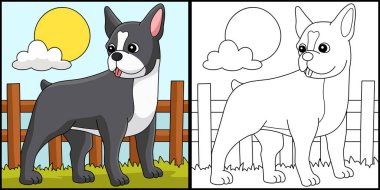 Bu renkli sayfa Boston Teriyeri 'ni gösteriyor. Bu illüstrasyonun bir tarafı renkli ve çocuklar için bir ilham kaynağı..