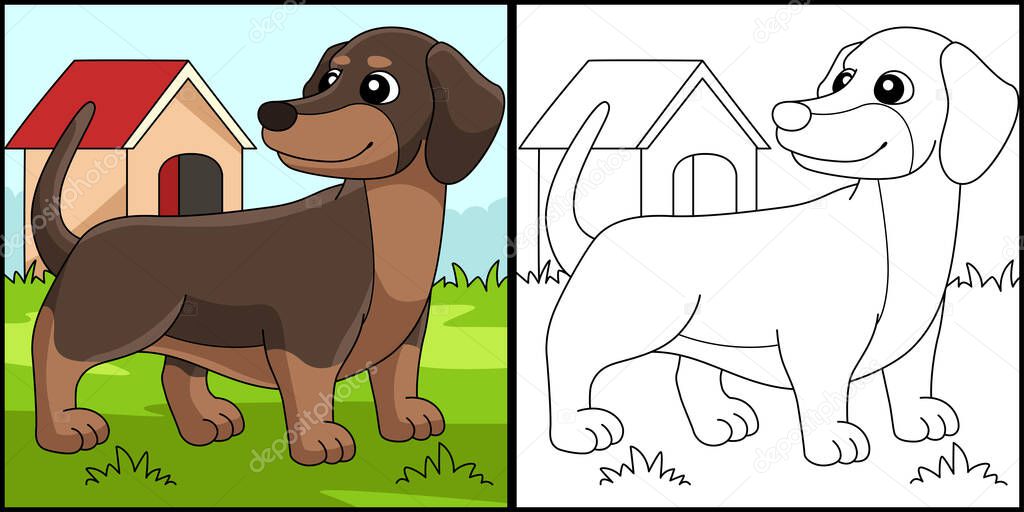This coloring page shows a Dachshund. One side of this illustration is colored and serves as an inspiration for children.