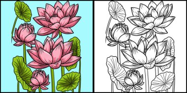 This coloring page shows a lotus flower. One side of this illustration is colored and serves as an inspiration for children. clipart