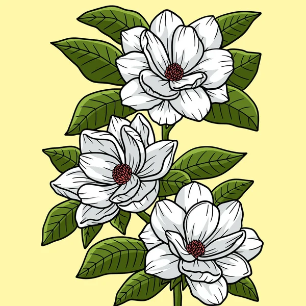 Diese Cartoon Illustration Zeigt Eine Magnolienblüten Illustration — Stockvektor