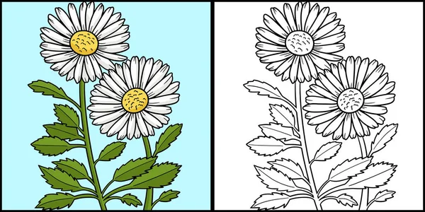 Tato Stránka Zbarvení Ukazuje Květinu Leucanthemum Sedmikrásky Jedna Strana Ilustrace — Stockový vektor