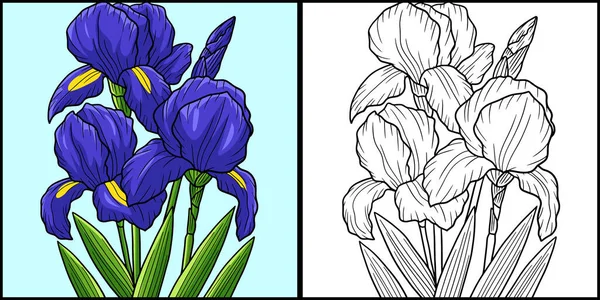 Diese Malseite Zeigt Eine Iris Blume Eine Seite Dieser Illustration — Stockvektor