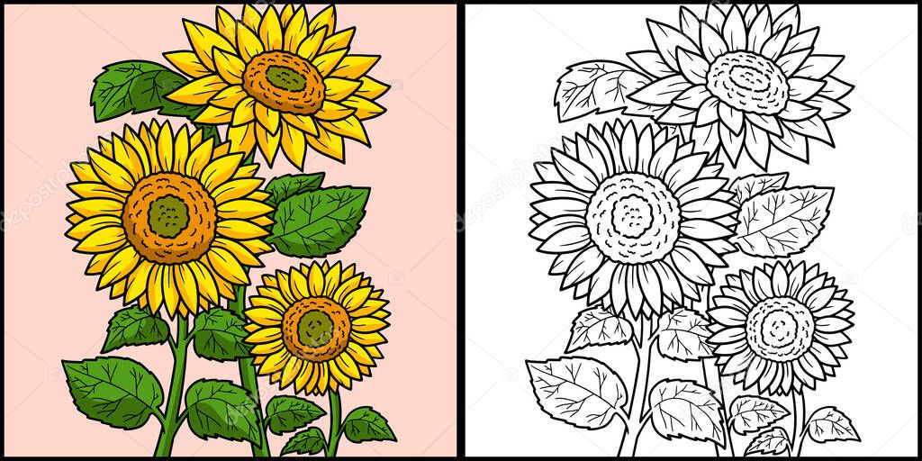 This coloring page shows a sunflower. One side of this illustration is colored and serves as an inspiration for children.