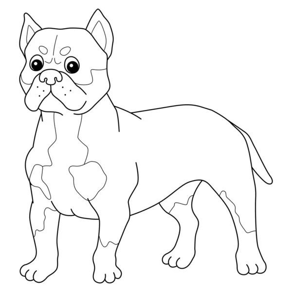 Cute Funny Coloring Page American Bully Provides Hours Coloring Fun — Stock Vector