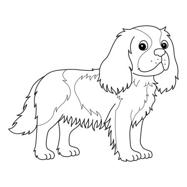 Süvari Kral Charles Spaniel 'in sevimli ve komik renkli sayfası. Çocuklar için saatlerce boyama eğlencesi sağlıyor. Renklendirmek için, bu sayfa çok kolaydır. Küçük çocuklar ve yeni yürümeye başlayanlar için uygun..