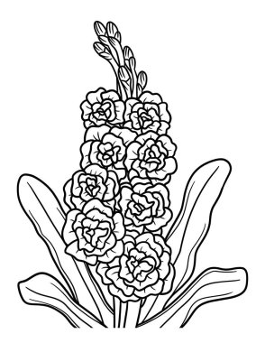 Bir Stock çiçeğinin şirin ve güzel bir boyama sayfası. Yetişkinlere saatlerce boyama eğlencesi sağlar.
