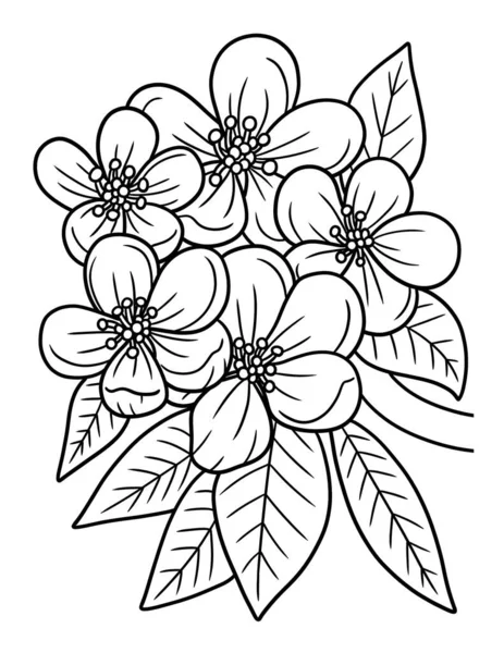 Cute Beautiful Coloring Page Apple Blossom Flower Provides Hours Coloring — Stockový vektor