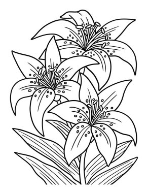 A cute and beautiful coloring page of a Lily flower. Provides hours of coloring fun for adults.