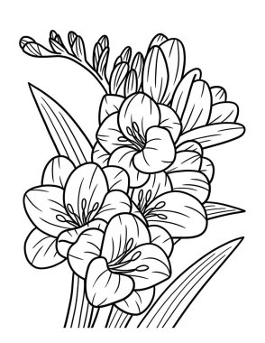 A cute and beautiful coloring page of a Freesia flower. Provides hours of coloring fun for adults.
