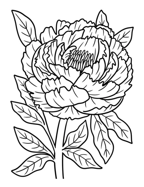 Cute Beautiful Coloring Page Peony Flower Provides Hours Coloring Fun — Image vectorielle