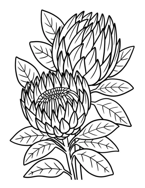 Cute Beautiful Coloring Page Proteas Flower Provides Hours Coloring Fun — Stock Vector