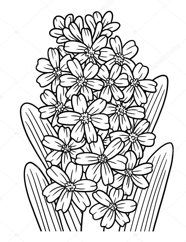 A cute and beautiful coloring page of a Hyacinth flower. Provides hours of coloring fun for adults.