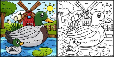 Bu renkli sayfa bir ördeği gösteriyor. Bu illüstrasyonun bir tarafı renkli ve çocuklar için bir ilham kaynağı..