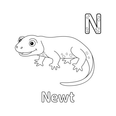 This ABC vector image shows a newt coloring page. It is isolated on a white background. Perfect for children and elementary school students to learn the alphabet and all its letters.