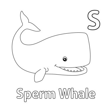 This ABC vector image shows a sperm whale coloring page. It is isolated on a white background. Perfect for children and elementary school students to learn the alphabet and all its letters.