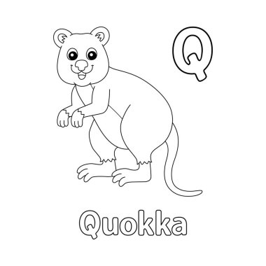 This ABC vector image shows a quokka coloring page. It is isolated on a white background. Perfect for children and elementary school students to learn the alphabet and all its letters.