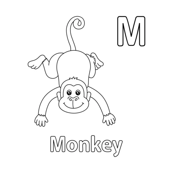 Abc Vector Image Shows Monkey Coloring Page Isolated White Background — Wektor stockowy
