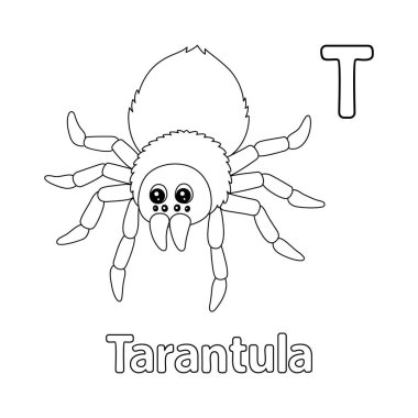 This ABC vector image shows a tarantula coloring page. It is isolated on a white background. Perfect for children and elementary school students to learn the alphabet and all its letters.