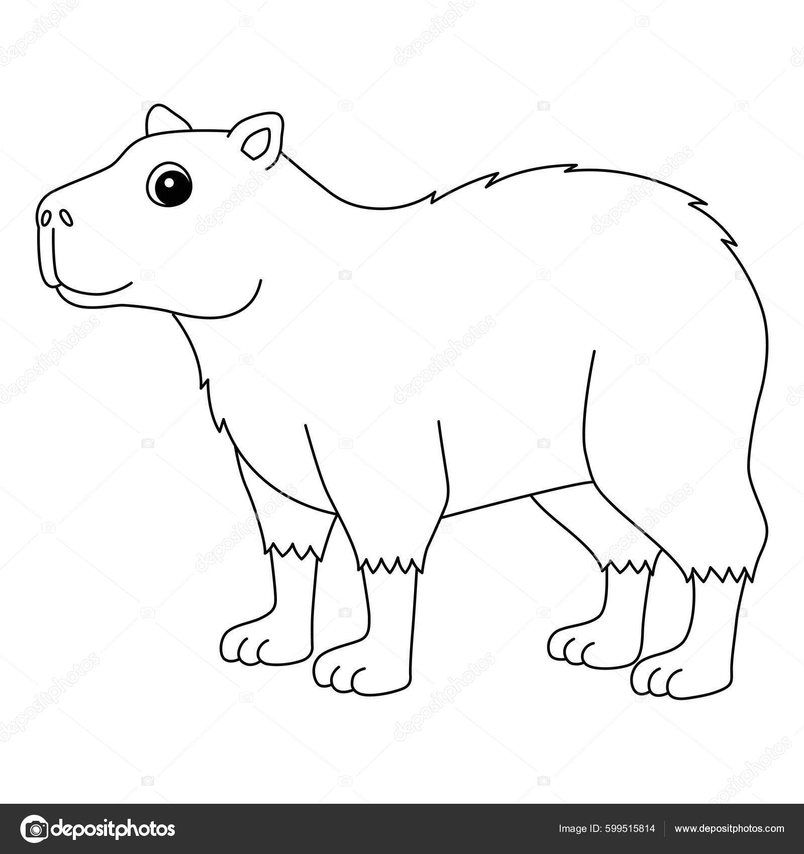 Cute Funny Coloring Page Capybara - Depositphotos 599515814 Stock Illustration Cute Funny Coloring Page Capybara 