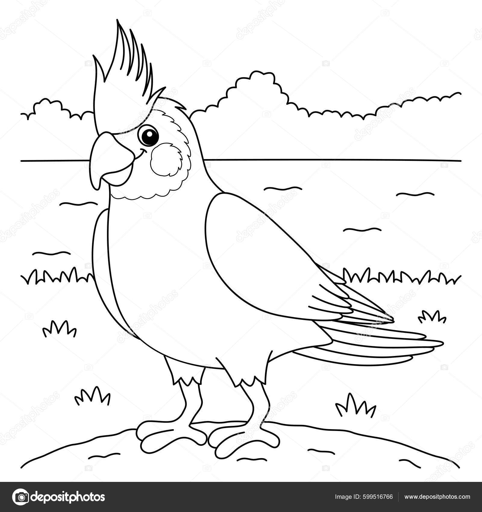 Cute Funny Coloring Page Cockatiel - Depositphotos 599516766 Stock Illustration Cute Funny Coloring Page Cockatiel 