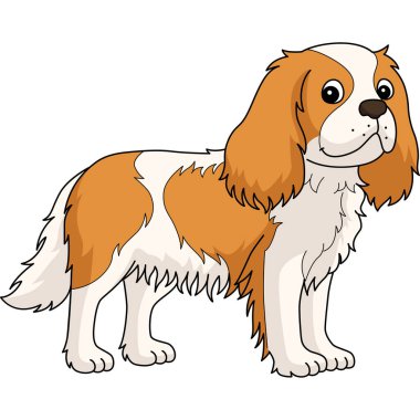 This cartoon clipart shows a Cavalier King Charles Spaniel Dog illustration.