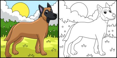 This coloring page shows a Belgian Malinois Dog. One side of this illustration is colored and serves as an inspiration for children.