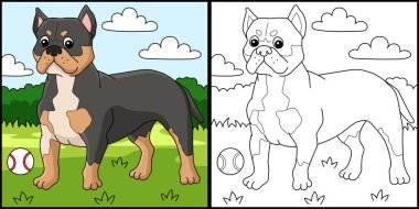 This coloring page shows an American Bully Dog. One side of this illustration is colored and serves as an inspiration for children.