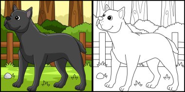 This coloring page shows a Cane Corso Dog. One side of this illustration is colored and serves as an inspiration for children.
