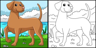 This coloring page shows a Vizsla. One side of this illustration is colored and serves as an inspiration for children.