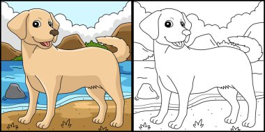 This coloring page shows a Labrador Retriever. One side of this illustration is colored and serves as an inspiration for children.