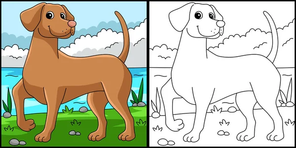 This coloring page shows a Vizsla. One side of this illustration is colored and serves as an inspiration for children.