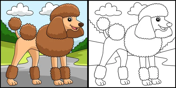 This coloring page shows a Poodle Dog. One side of this illustration is colored and serves as an inspiration for children.