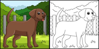 This coloring page shows a Chocolate Lab Dog. One side of this illustration is colored and serves as an inspiration for children.
