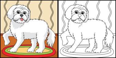 This coloring page shows a Maltese Dog. One side of this illustration is colored and serves as an inspiration for children.