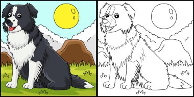 This coloring page shows a Border Collie Dog. One side of this illustration is colored and serves as an inspiration for children.