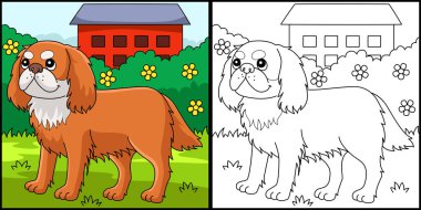 This coloring page shows King Charles Spaniel. One side of this illustration is colored and serves as an inspiration for children.