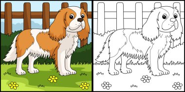 This coloring page shows a Cavalier King Charles Spaniel Dog. One side of this illustration is colored and serves as an inspiration for children.