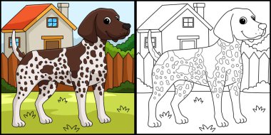 This coloring page shows a German Shorthaired Pointer Dog. One side of this illustration is colored and serves as an inspiration for children.