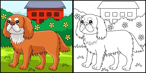 This coloring page shows King Charles Spaniel. One side of this illustration is colored and serves as an inspiration for children.