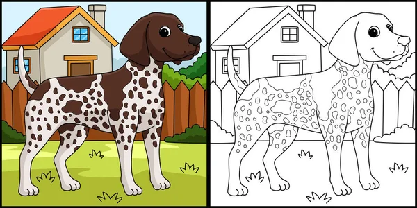 This coloring page shows a German Shorthaired Pointer Dog. One side of this illustration is colored and serves as an inspiration for children.